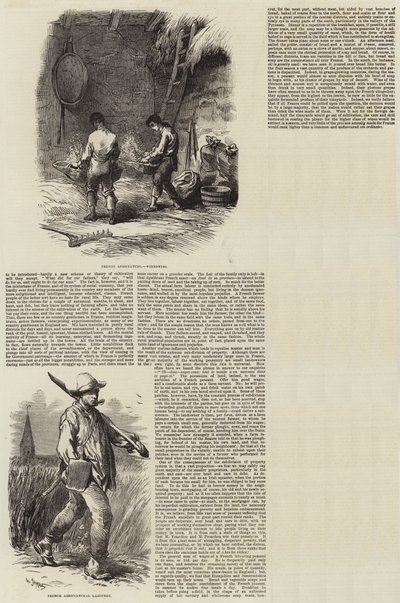Agricultura en Francia de Charles Emile Jacque